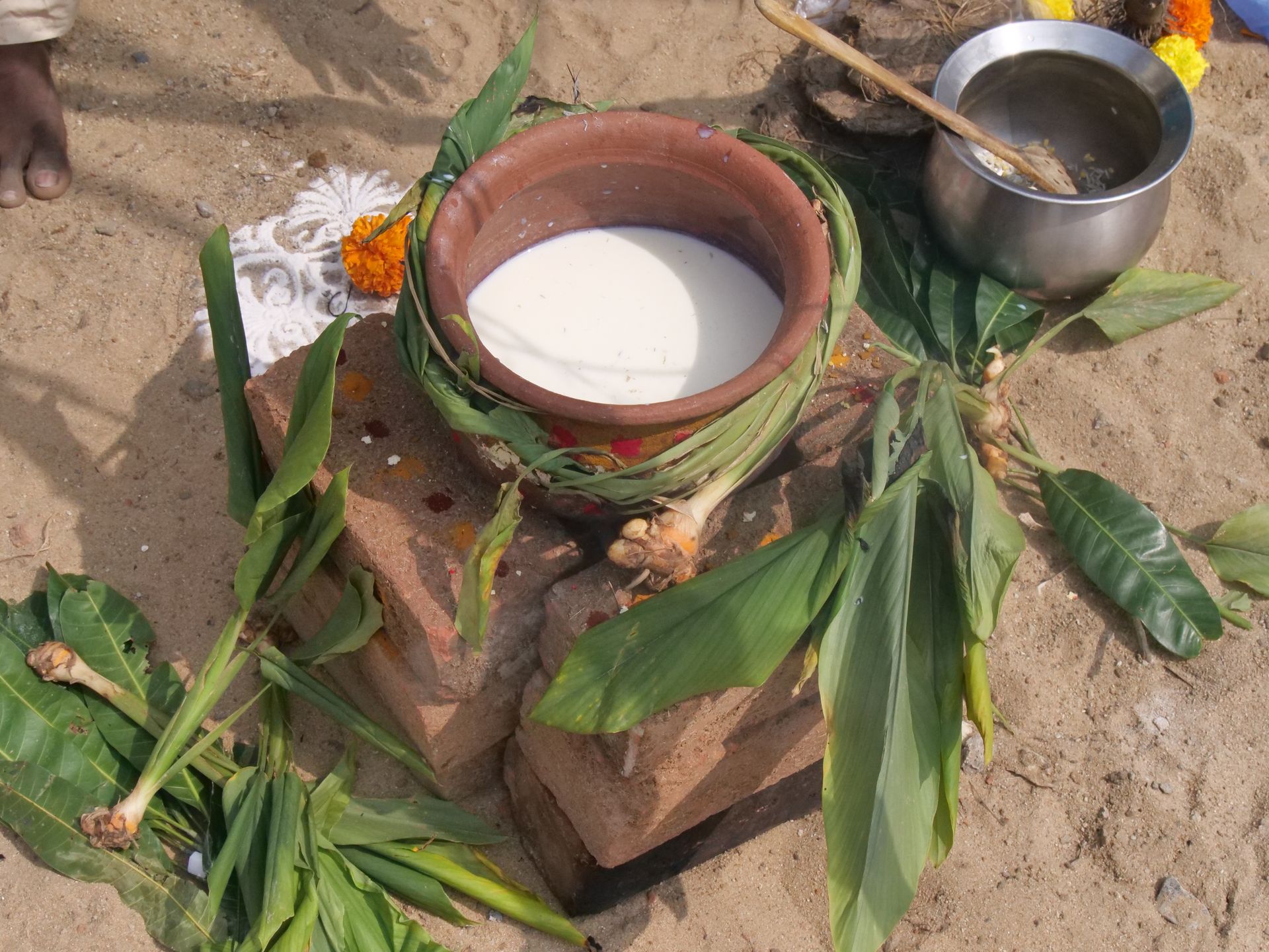 Pongal
